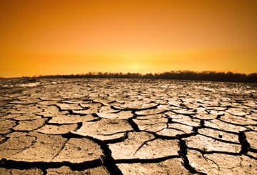 Guide Line And Treatments For Sun Damaged Skin